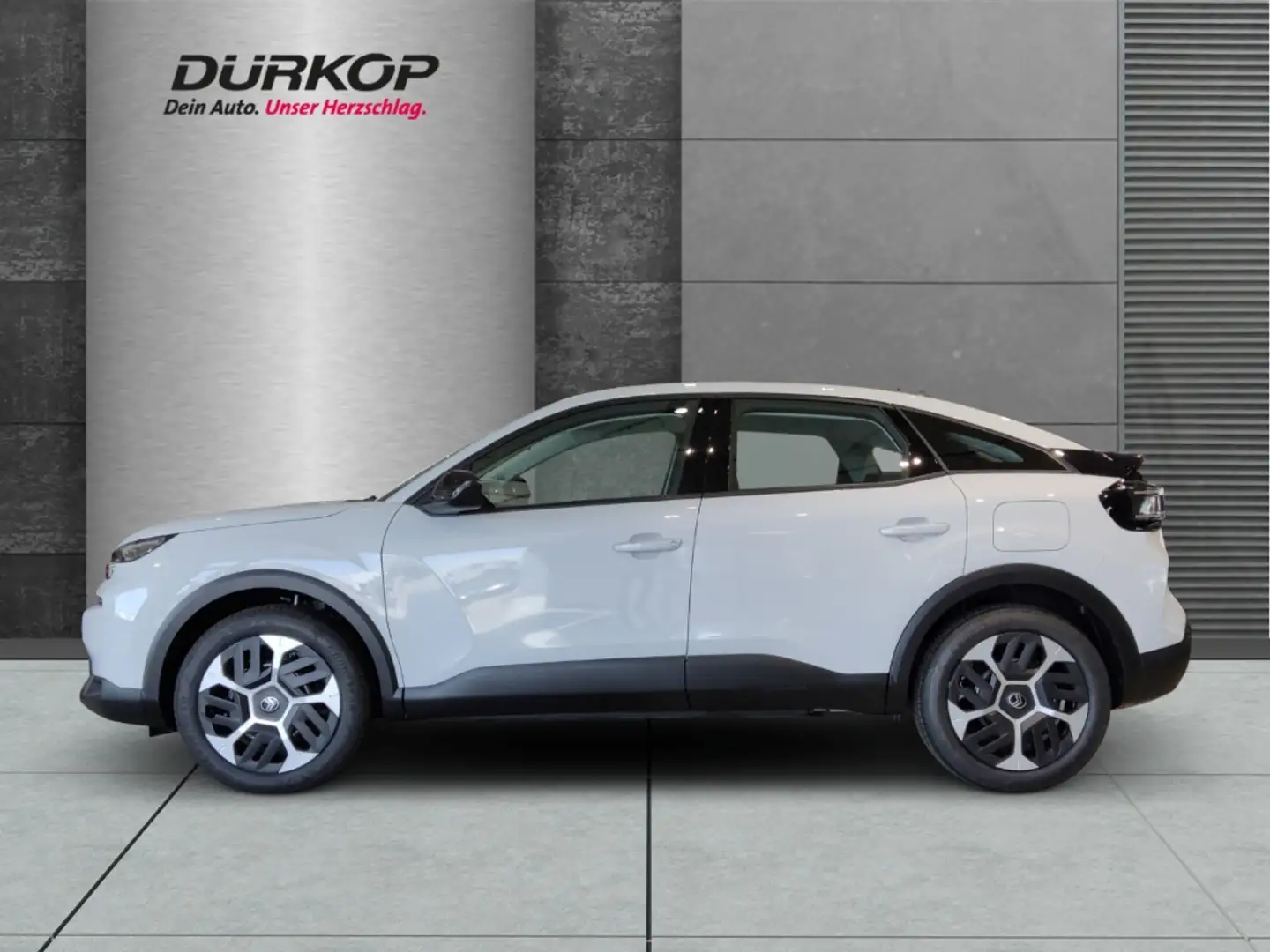Citroen C4 Plus Mild-Hybrid e-DCS6 Winter-Paket Beheizb. Fron Bianco - 2