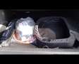 Peugeot 2008 2ª serie - 2008 motore elettrico 136 CV GT Blanco - thumbnail 44