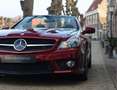 Mercedes-Benz SL 63 AMG | Designo - Pano - Airscarf Rojo - thumbnail 12