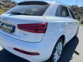 Audi Q3 Q3 2.0 TDI Advanced Plus Wit - thumbnail 16