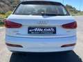 Audi Q3 Q3 2.0 TDI Advanced Plus Bianco - thumbnail 13
