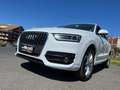 Audi Q3 Q3 2.0 TDI Advanced Plus Wit - thumbnail 26