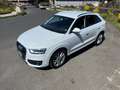 Audi Q3 Q3 2.0 TDI Advanced Plus Bianco - thumbnail 1