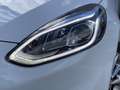 Ford Fiesta 1.0 EcoBoost Vignale 125PK | Winter-Pack | Leder-B Wit - thumbnail 22