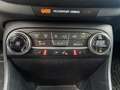 Ford Fiesta 1.0 EcoBoost Vignale 125PK | Winter-Pack | Leder-B Wit - thumbnail 37
