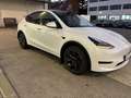 Tesla Model Y Long Range AWD 79kWh - thumbnail 3
