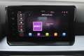 SEAT Ibiza 1.0 EcoTSI FR Business Connect Automaat Airco I st Grau - thumbnail 29
