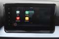 SEAT Ibiza 1.0 EcoTSI FR Business Connect Automaat Airco I st Grau - thumbnail 34
