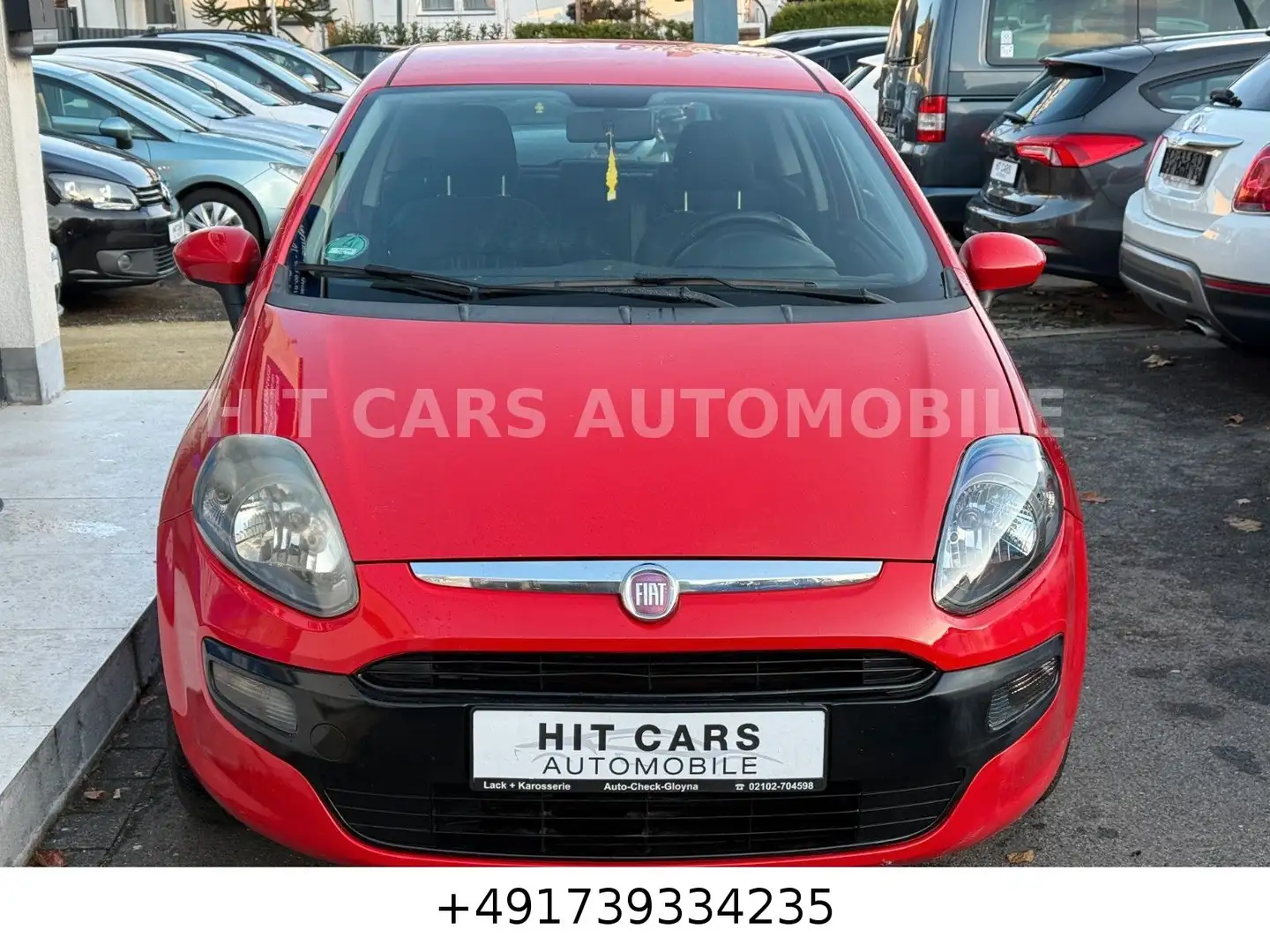Fiat Punto Evo MyLife Rot - 2