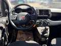 Fiat Panda Cross, Allwetterreifen Grün - thumbnail 9