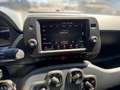 Fiat Panda Cross, Allwetterreifen Grün - thumbnail 11