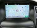 Ford Focus Business Grau - thumbnail 9