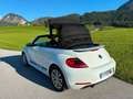 Volkswagen Beetle Beetle 2,0 TDI BMT CLUB CLUB Weiß - thumbnail 5