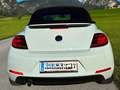 Volkswagen Beetle Beetle 2,0 TDI BMT CLUB CLUB Weiß - thumbnail 6