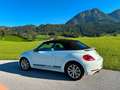 Volkswagen Beetle Beetle 2,0 TDI BMT CLUB CLUB Weiß - thumbnail 15