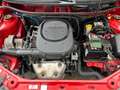Fiat Punto 1.2 8V Dynamic Klima-E Fenster-ABS-Servo Rouge - thumbnail 13