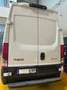 Iveco Daily Furgón 35C16  H2L2  156cv Blanco - thumbnail 6