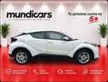 Toyota C-HR 125H Advance Blanco - thumbnail 2