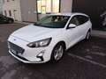 Ford Focus 1.5 EcoBlue 120 CV automatico SW Business Bianco - thumbnail 2
