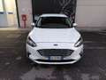 Ford Focus 1.5 EcoBlue 120 CV automatico SW Business Bianco - thumbnail 1