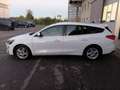 Ford Focus 1.5 EcoBlue 120 CV automatico SW Business Bianco - thumbnail 6