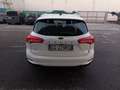 Ford Focus 1.5 EcoBlue 120 CV automatico SW Business Bianco - thumbnail 3