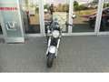 Honda Dax ST 50 ST 125 DAX ABS+LED VERFÜGBAR AKTION Bleu - thumbnail 3