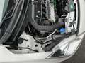 Suzuki Swift 1.2 Hybrid, 74.000km, Unico Proprietario Bianco - thumbnail 13