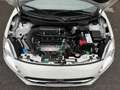 Suzuki Swift 1.2 Hybrid, 74.000km, Unico Proprietario Bianco - thumbnail 11