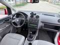 Volkswagen Caddy 1.6 Klima | 7 Sitzer | 1. Hand | TÜV 03/2027 Rot - thumbnail 11