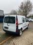 Renault Kangoo Rapid Extra Weiß - thumbnail 9