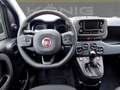 Fiat Panda MY24 1.0 Klima PDC Radio Weiß - thumbnail 9