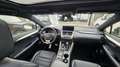 Lexus NX 300h 2.5 F Sport Panoramico Blanco - thumbnail 25