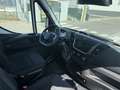Iveco Daily 35 C 18H Weiß - thumbnail 12