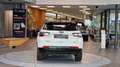 Jeep Compass S 1,3 Turbo Hybrid 240 PS AT ALLRAD Aut. Weiß - thumbnail 7