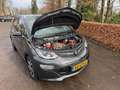 Opel Ampera-E LAUNCH EXECUTIVE 60KWH LEER/XENON/CAM/NIEUW ACCUPA Grau - thumbnail 26