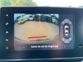 Nissan Primastar Kombi Tekna dCi150 MT L1H1/DAB/LED/SHZ Schwarz - thumbnail 13