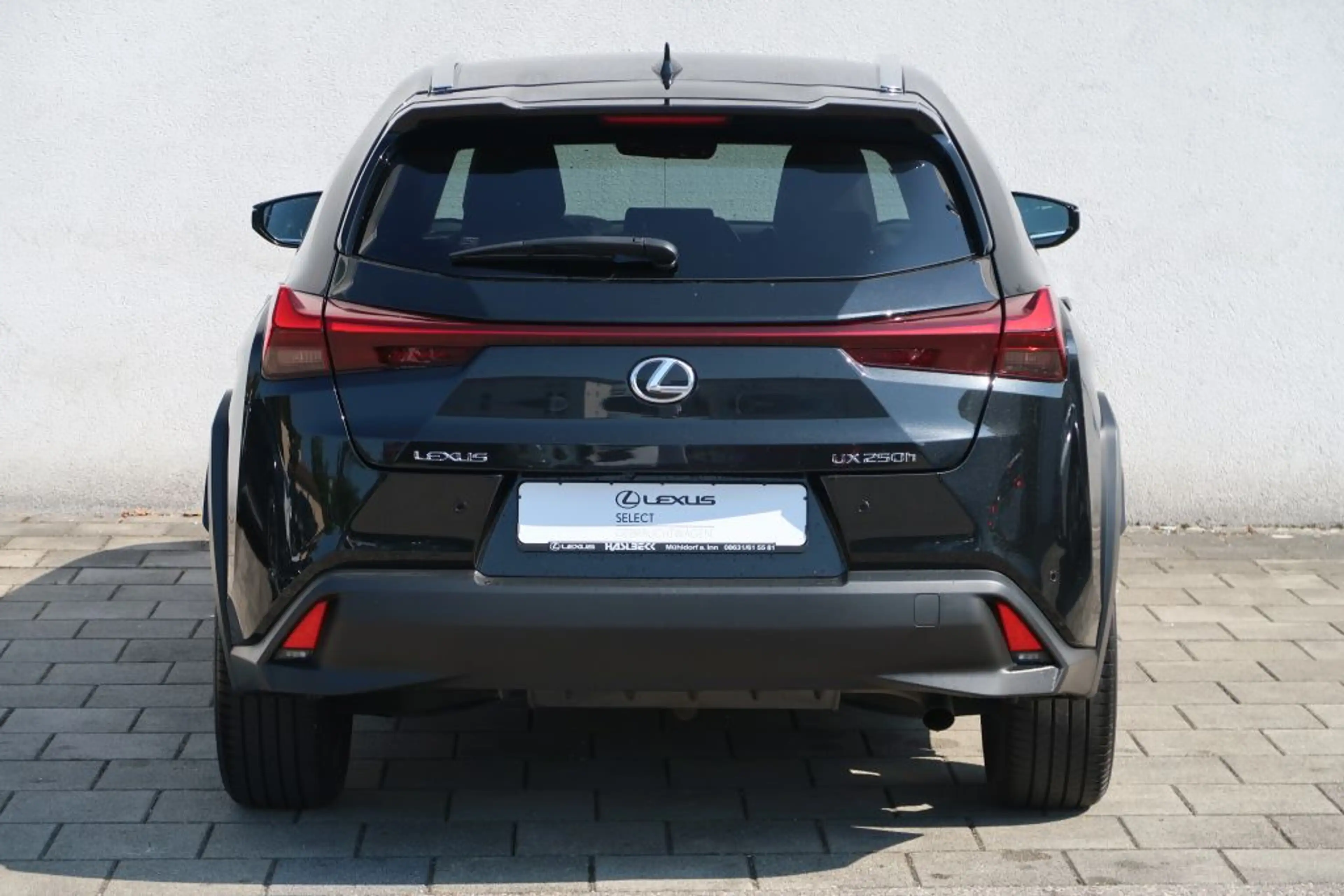 Lexus UX 250h Style Edition — photo 6