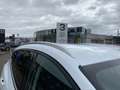 Ford Focus Titanium Winter Paket Weiß - thumbnail 25