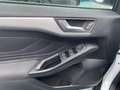 Ford Focus Titanium Winter Paket Weiß - thumbnail 14