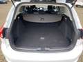 Ford Focus Titanium Winter Paket Weiß - thumbnail 10