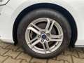 Ford Focus Titanium Winter Paket Weiß - thumbnail 9