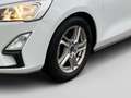 Ford Focus Titanium Winter Paket Weiß - thumbnail 8