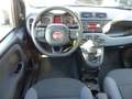 Fiat Panda 1.2 Lounge Klima Bluetooth NS PDC Alu Weiß - thumbnail 13