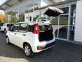 Fiat Panda 1.2 Lounge Klima Bluetooth NS PDC Alu Weiß - thumbnail 19