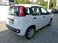 Fiat Panda 1.2 Lounge Klima Bluetooth NS PDC Alu Weiß - thumbnail 4
