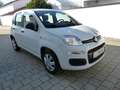 Fiat Panda 1.2 Lounge Klima Bluetooth NS PDC Alu Weiß - thumbnail 6