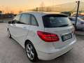 Mercedes-Benz B 200 B 200 cdi (be) Premium Uniprop Bianco - thumbnail 6
