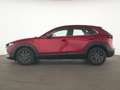 Mazda CX-30 SKYACTIV-G LED|ACC|HeadUp|Navi|Klima Rouge - thumbnail 9