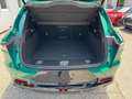 Alfa Romeo Tonale 1.3 PHEV SPRINT 280PS Allrad Veloce Paket Grün - thumbnail 13